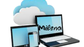 Timeline: Milena Trerotola