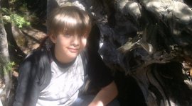 Timeline: The Life of Shawn The Great