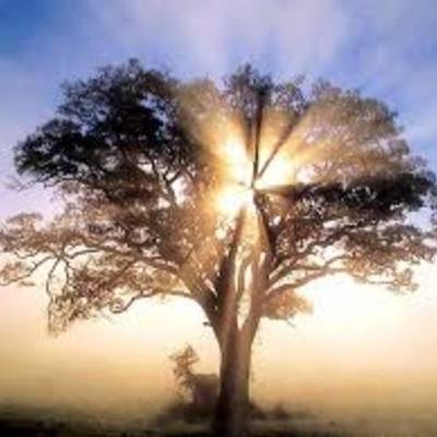 Timeline: Minha vida acadêmica