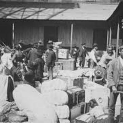 Timeline: La gran inmigración en la República Argentina (Alejandro)