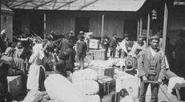 Timeline: La gran inmigración en la República Argentina (Alejandro)