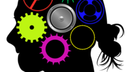 Timeline: 4th Grade Engineering (NGSS) Curriculum Unit