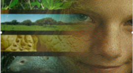 Timeline: LA DIDÁCTICA EN EL TIEMPO... POR: NATALIA VEGA DE ARCO