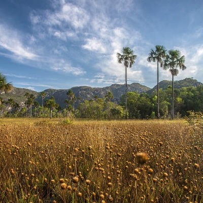 Timeline: A RECATEGORIZAÇÃO DO PARQUE NACIONAL DAS SEMPRE-VIVAS: MAPEANDO A CONTROVÉRSIA