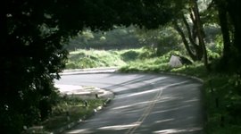 Timeline: Monografias e Artigos