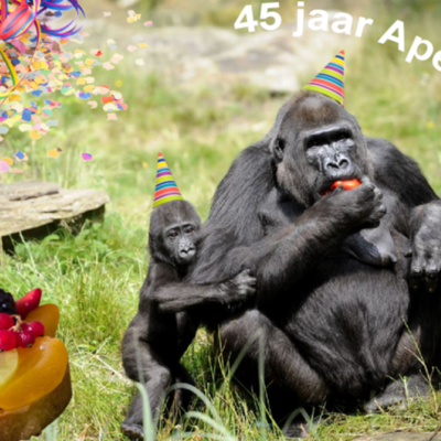 Timeline: Apenheul 45 jaar