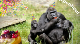 Timeline: Apenheul 45 jaar