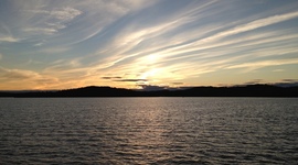 Timeline: Caroline Gray's Intro