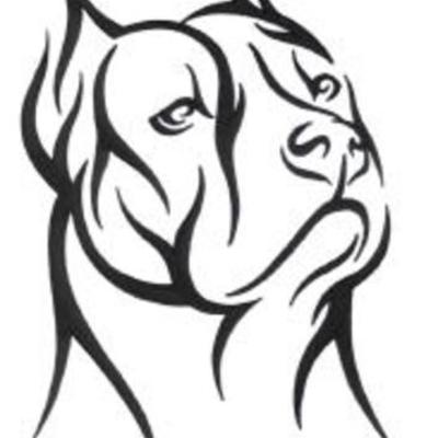 Timeline: proyecto linea de tiempo informatica