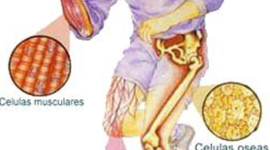 Timeline: Célula historia