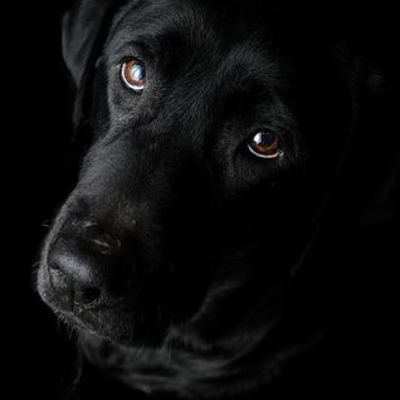 Timeline: MI BIOGRAFIA