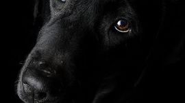 Timeline: MI BIOGRAFIA