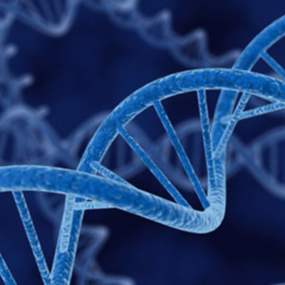 Timeline: Genetics Timeline