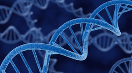 Timeline: Genetics Timeline