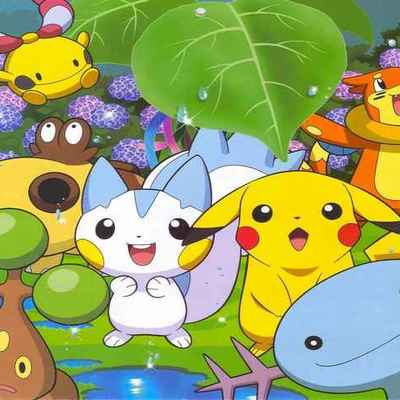 Timeline: History of The Poke Regime