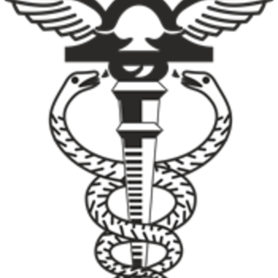 Timeline: historia da contabilidade