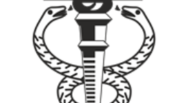 Timeline: historia da contabilidade