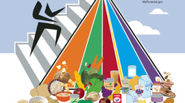 Timeline: História da Nutrição