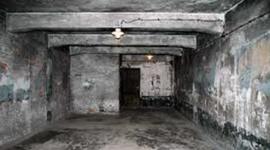 Timeline: The Holocaust