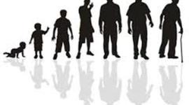 Timeline: Lifetime personal Health