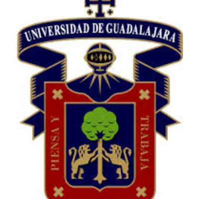 Timeline: Responsabilidades del Asesor del BGAI