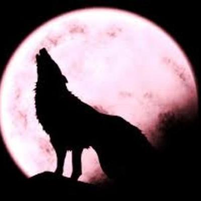 Timeline: HISTORIA LA LOBIZONA