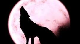 Timeline: HISTORIA LA LOBIZONA