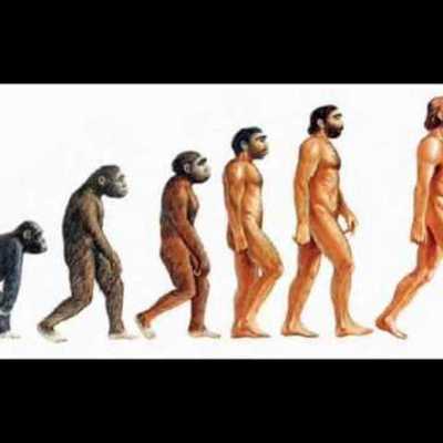 Timeline: Evolución  del ser humana