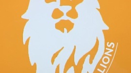 Timeline: Business Inteligence for oGCDP