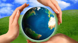 Timeline: Desarrollo Sustentable