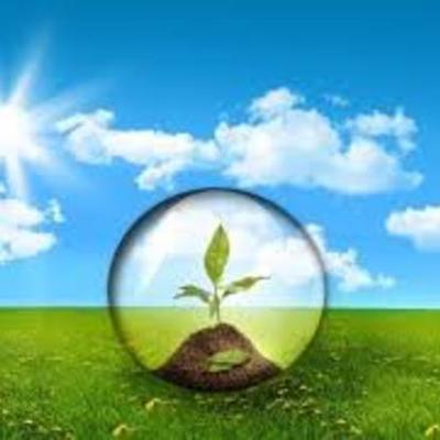 Timeline: Evolucion Historica de la Ecologia