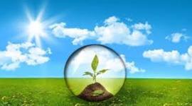 Timeline: Evolucion Historica de la Ecologia