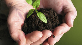 Timeline: Evolución histórica de la ecología