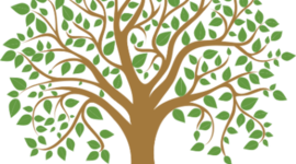 Timeline: Lifetime Personal Health