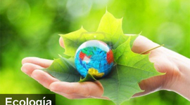 Timeline: Evolución Histórica de la Ecología