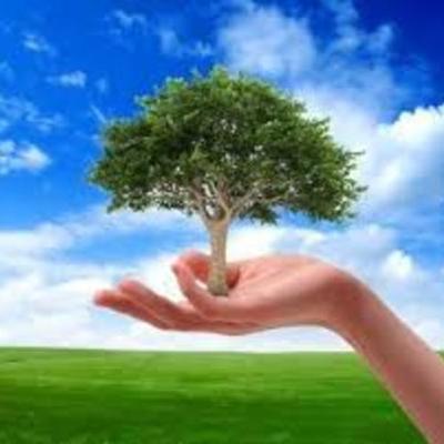 Timeline: Evolución Histórica de la ecología