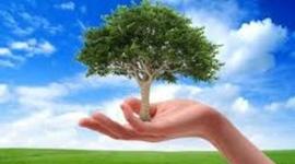 Timeline: Evolución Histórica de la ecología