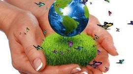 Timeline: Evolución y Origen del Concepto de Desarrollo Sustentable