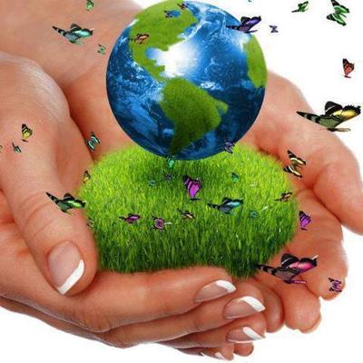 Timeline: Evolución Histórica de la Ecologia