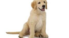 Timeline: Mi autobiografia