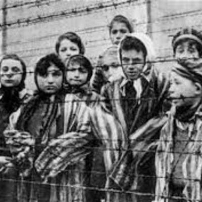 Timeline: The Holocaust (1933-1945)