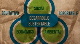 Timeline: DESARROLLO SUSTENTABLE