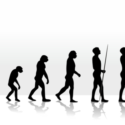 Timeline: evolución de la raza humana