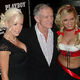 Hefner2006