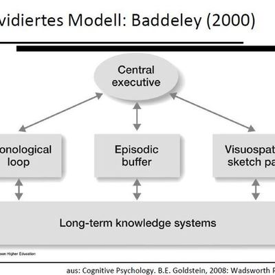 Timeline: Kognition Experimente und Paradigmen (Foliensatz 7-10)