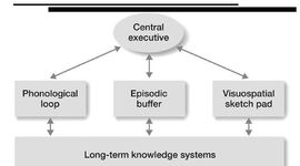 Timeline: Kognition Experimente und Paradigmen (Foliensatz 7-10)