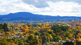 Timeline: A History of Orange