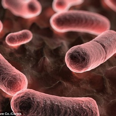 Timeline: The Plague