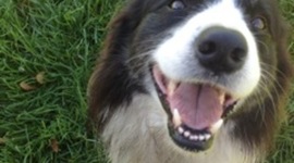 Timeline: Guy's reading log 2016