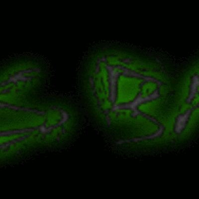 Timeline: Birth of A Band